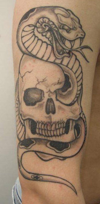 Black And Grey Snake In Skull Tattoo On Right Half Sleeve
