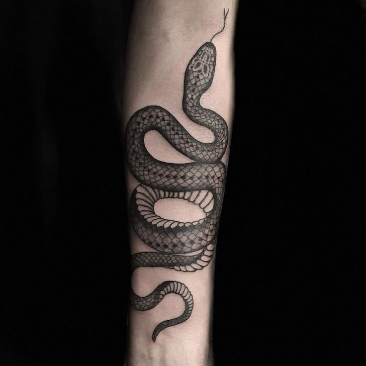 Black And Grey Snake Tattoo Design For Sleeve