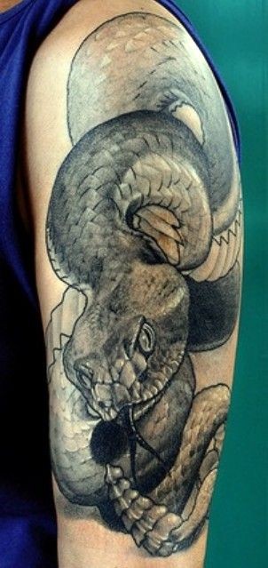 Black And Grey Snake Tattoo On Half Sleeve