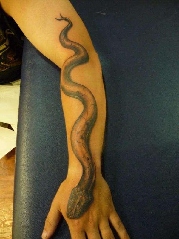 Black And Grey Snake Tattoo On Left Arm