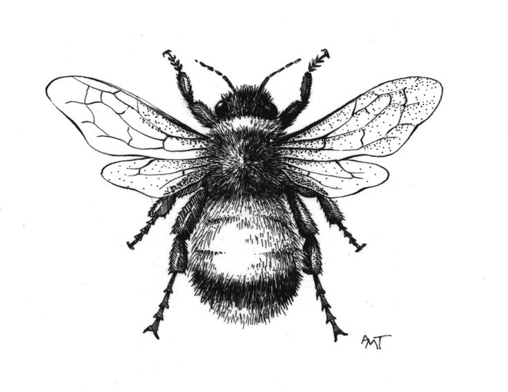 Black And White Bumblebee Tattoo Design