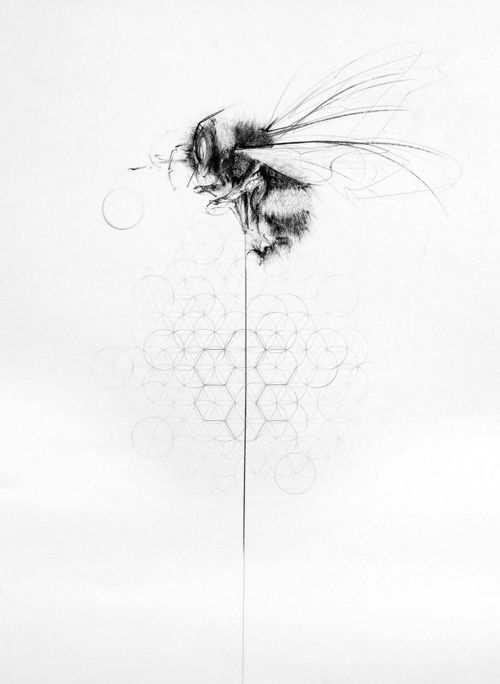 Black And White Flying Bumblebee Tattoo Design