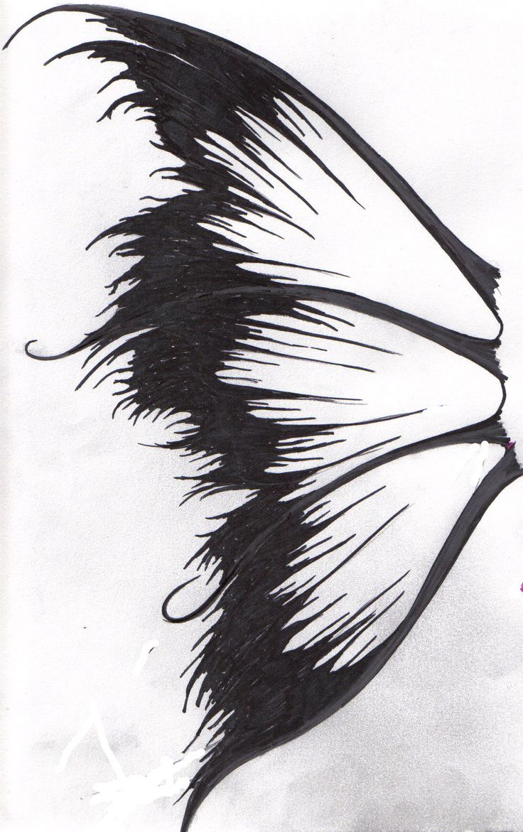 Black Fairy Wing Tattoo Stencil