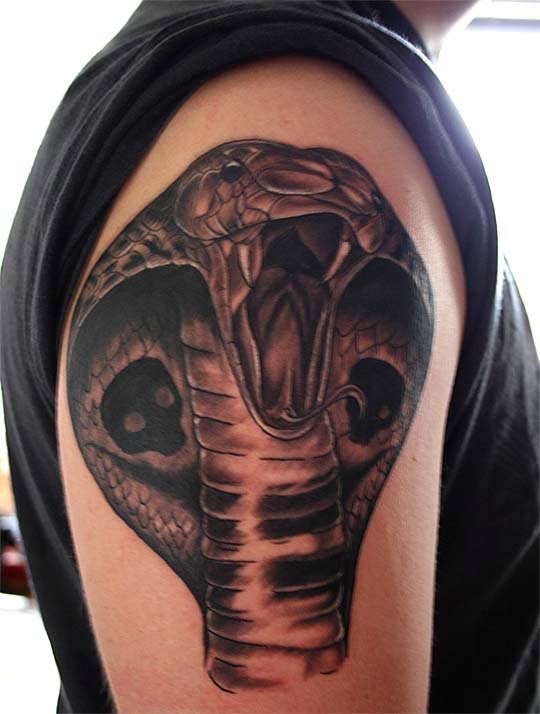 Black Ink Cobra Snake Head Tattoo On Right Shoulder