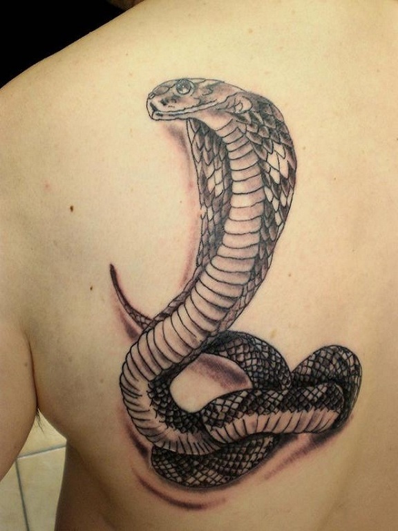 Black Ink Cobra Snake Tattoo On Left Back Shoulder