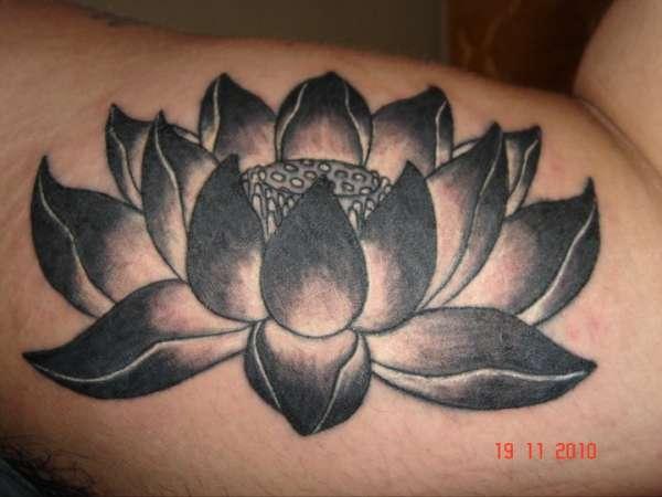 Black Ink Lotus Flower Tattoo Design For Bicep