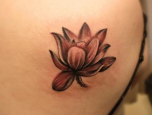 Black Ink Lotus Flower Tattoo Design For Female Shoulder