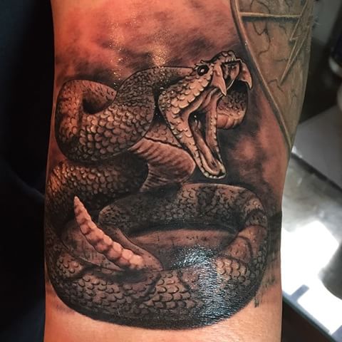 Black Ink Rattlesnake Tattoo Design For Half Sleeve