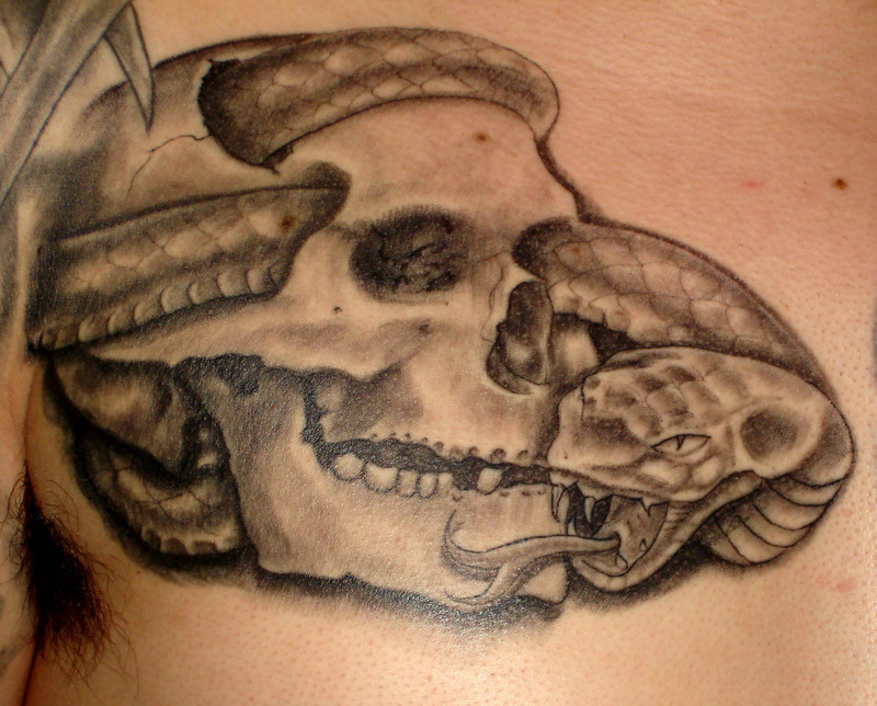 Black Ink Snake In Skull Tattoo Design For Men