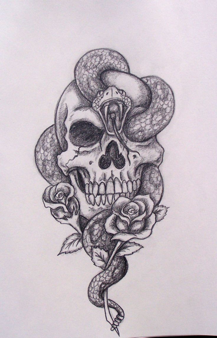 Black Ink Snake In Skull With Roses Tattoo Design By David Longcrier