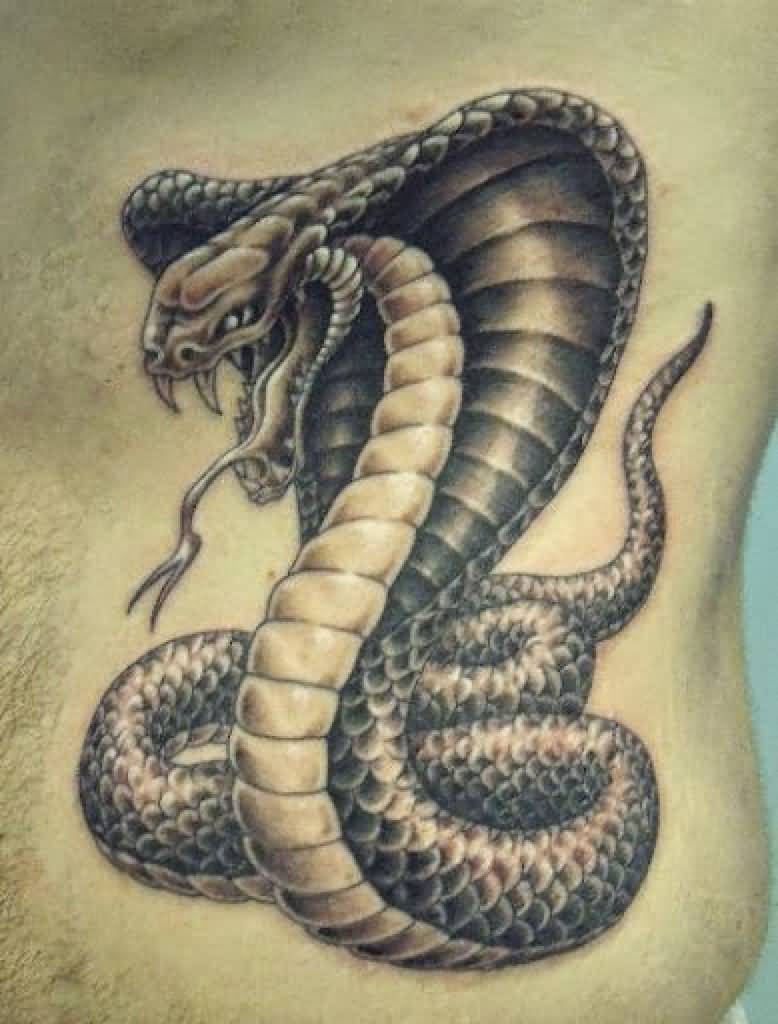 Black Ink Snake Tattoo On Man Left Side Rib