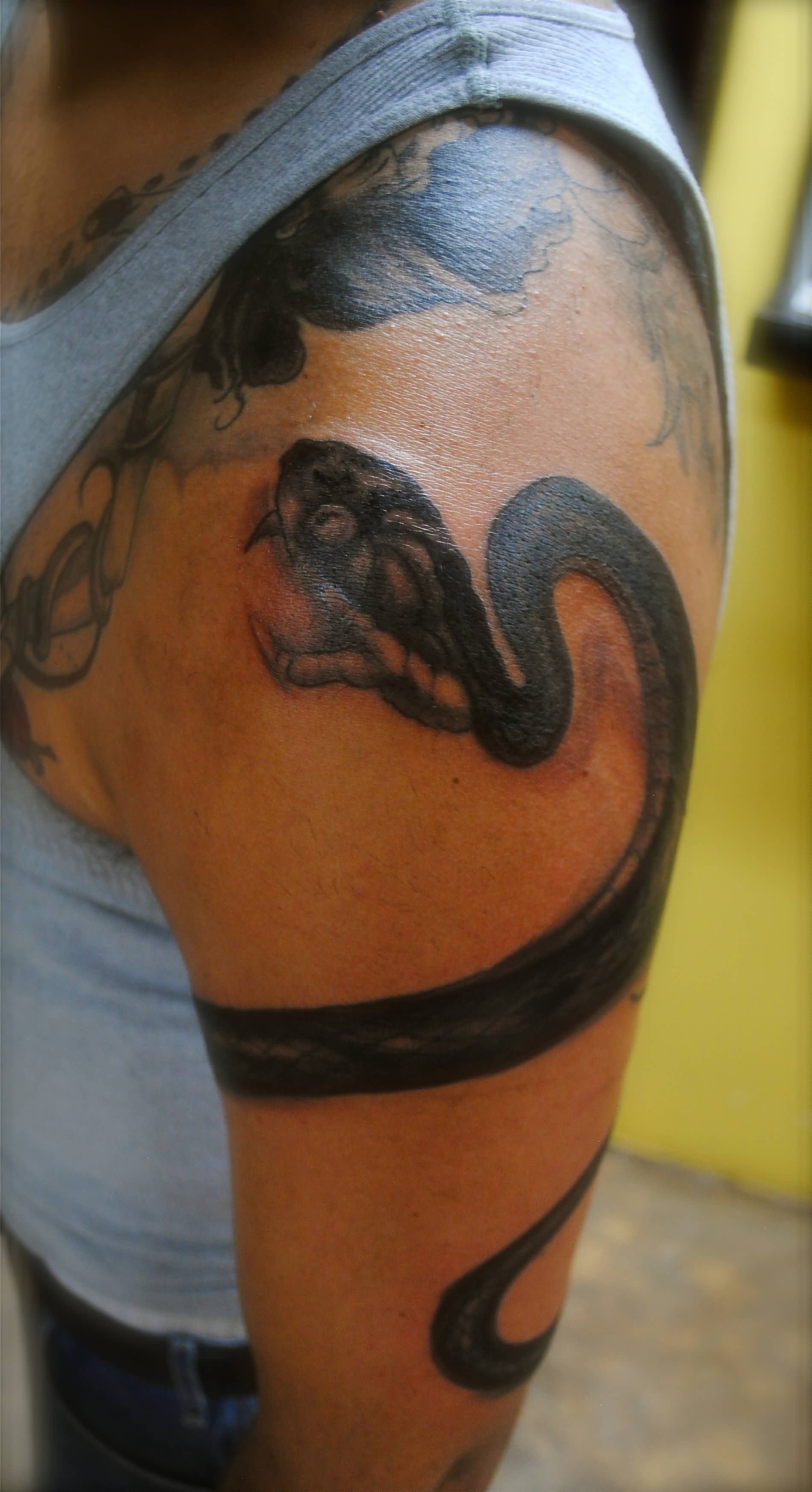 Black Ink Snake Tattoo On Man Left Wrapped Around Upper Arm