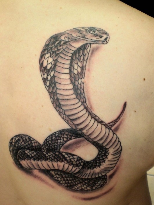 Black Ink Snake Tattoo On Right Back Shoulder