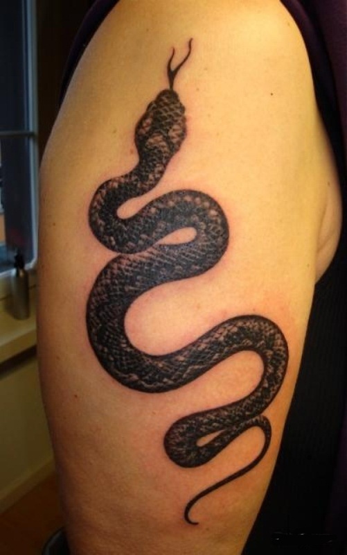 Black Ink Snake Tattoo On Right Half Sleeve