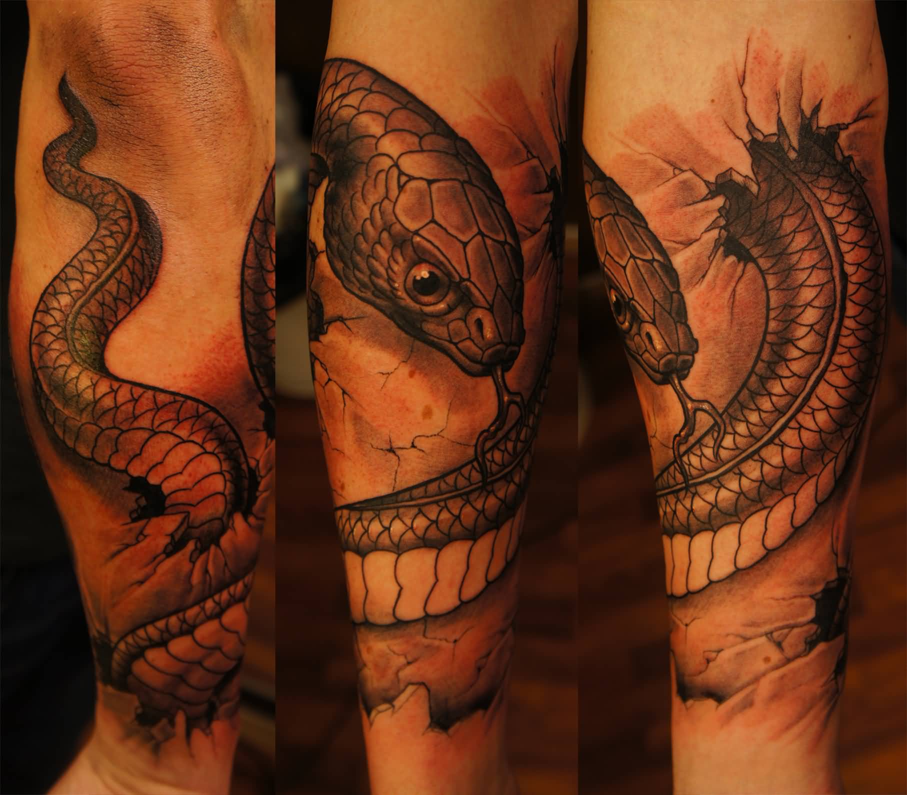 Black Ink Snake Tattoo On Right Sleeve