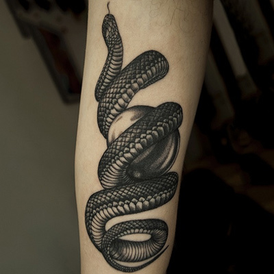 Black Ink Snake Tattoo Wrapped Around Arm