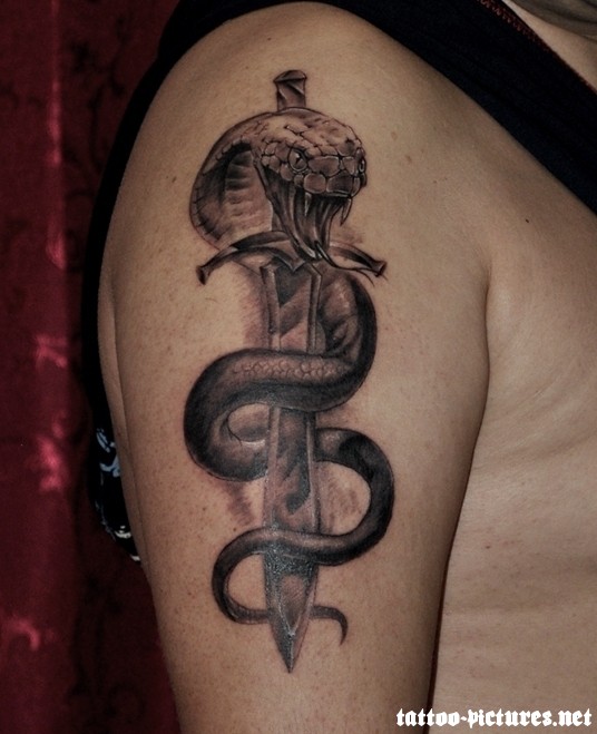 Black Ink Snake With Sword Tattoo On Right Half Sleeve