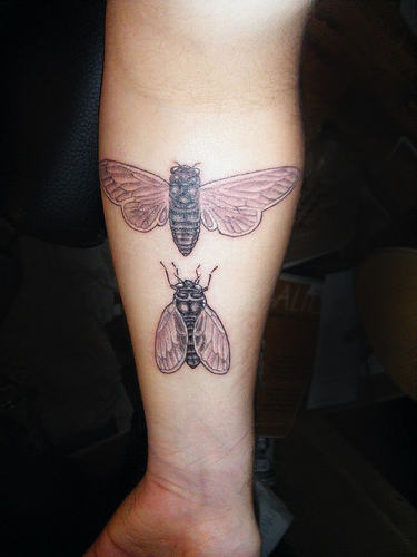Black Ink Two Bumblebee Tattoo On Forearm