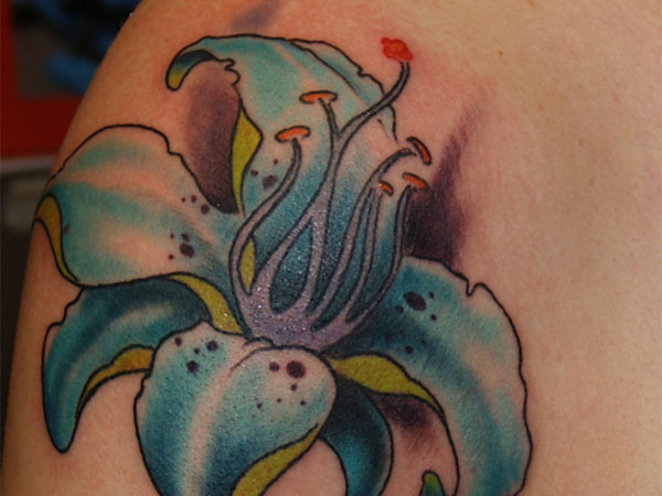 Blue Ink Stargazer Lily Tattoo On Shoulder
