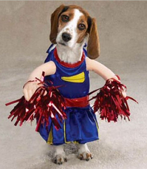 Cheerleader Funny Pet Costume