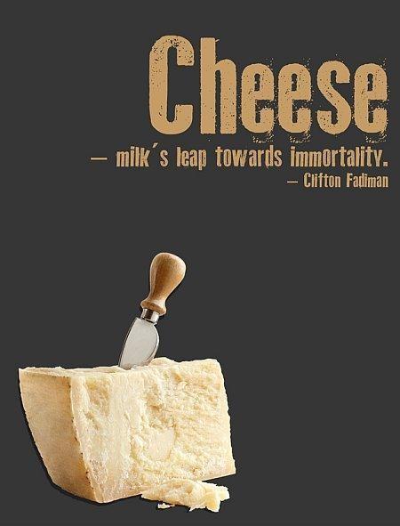 Cheese. Milk's leap towards immortality. Clifton Fadiman