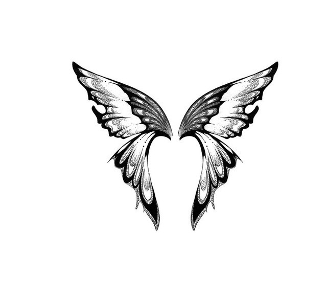 Classic Black And Grey Fairy Wings Tattoo Design