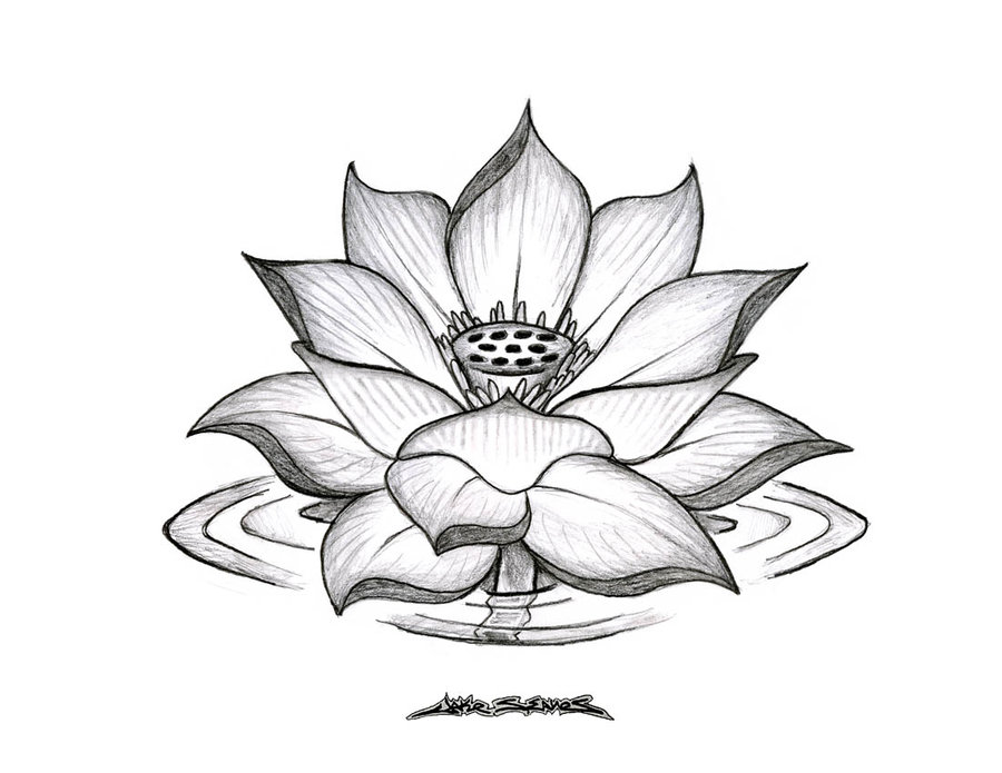 Classic Grey Ink Lotus Flower Tattoo Design