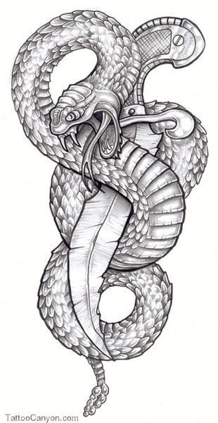Classic Grey Ink Snake With Dagger Tattoo Design
