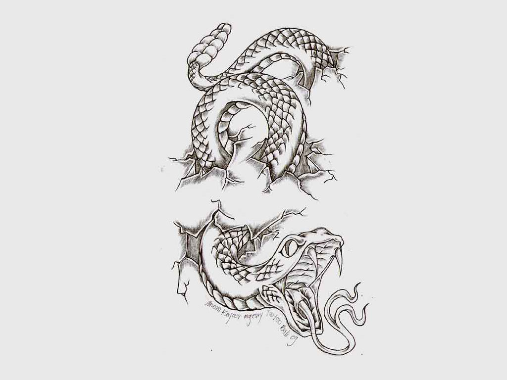 Classic Ripped Skin Snake Tattoo Design