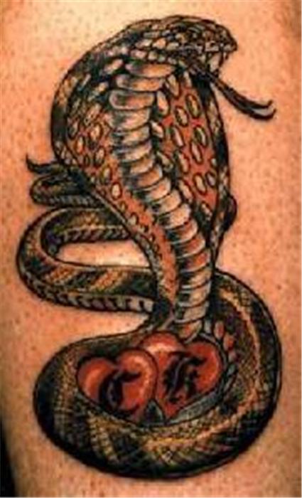 Cobra Snake Tattoo Design For Sleeve