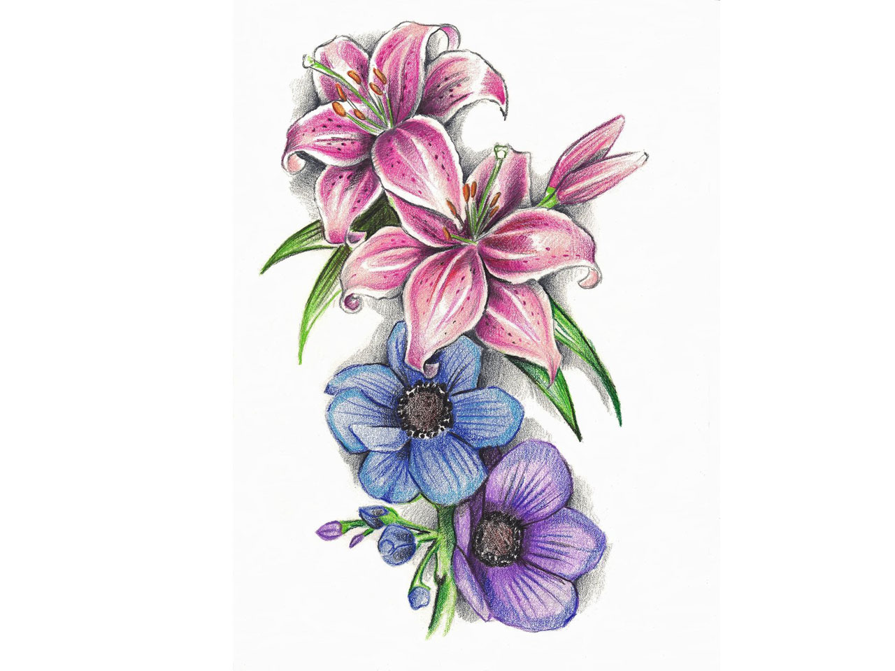 Color Lily Flowers Tattoos Designs