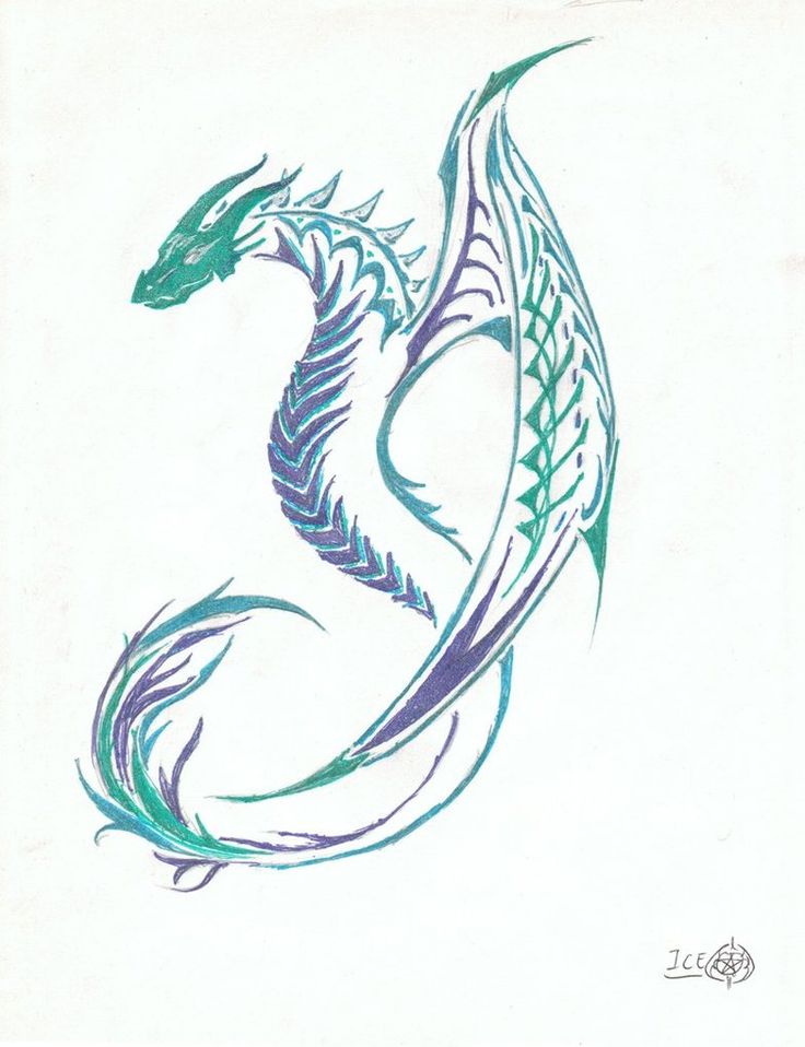 Colored Tribal Dragon Tattoo Design