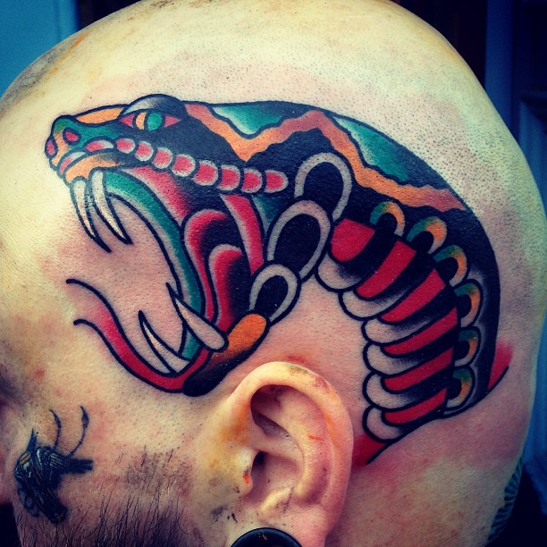 Colorful Traditional Snake Head Tattoo On Man Head