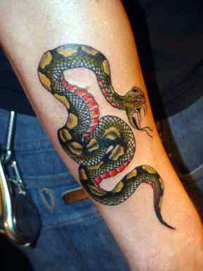 Colorful Traditional Snake Tattoo Design For Arm