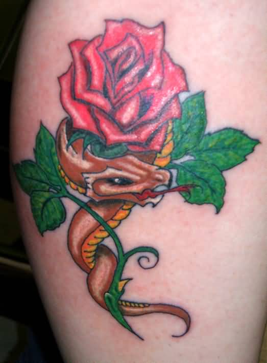 Colorful Traditional Snake With Rose Tattoo Design For Leg Calf
