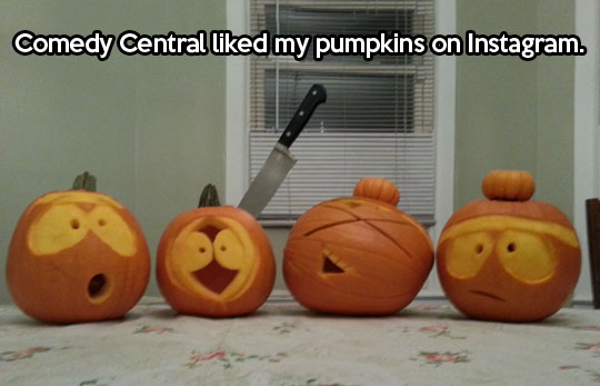 Comedy Central Liked My Pumpkins On Instagram Funny Photo