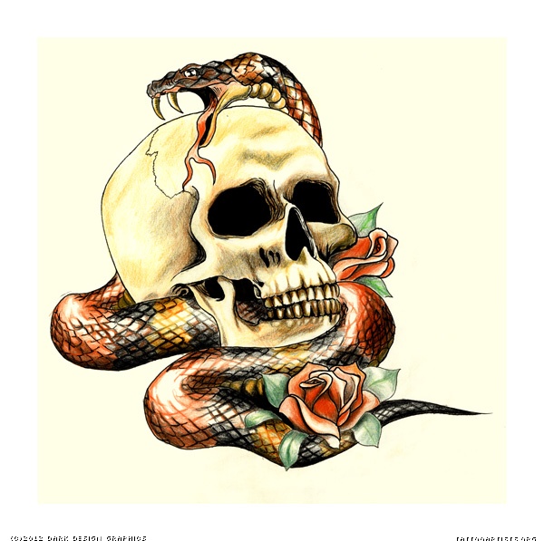 Cool 3D Skull With Snake And Roses Tattoo Design