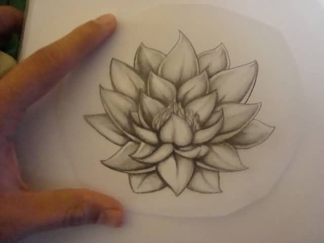 Cool Black And Grey Lotus Flower Tattoo Design