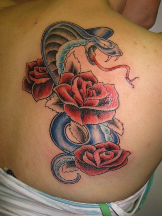 Cool Cobra Snake With Roses Tattoo On Right Back Shoulder