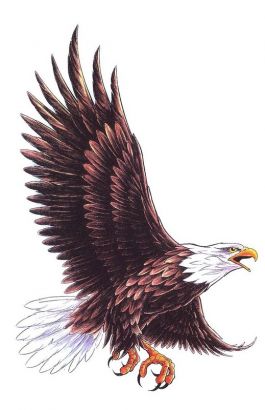 Cool Flying Eagle Tattoo Design
