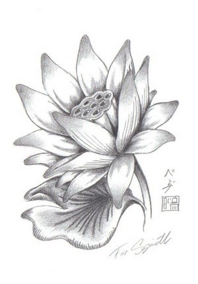 Cool Grey Ink Lotus Flower Tattoo Design