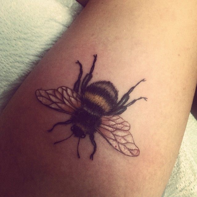 Cool Traditional Bumblebee Tattoo Design For Sleeve