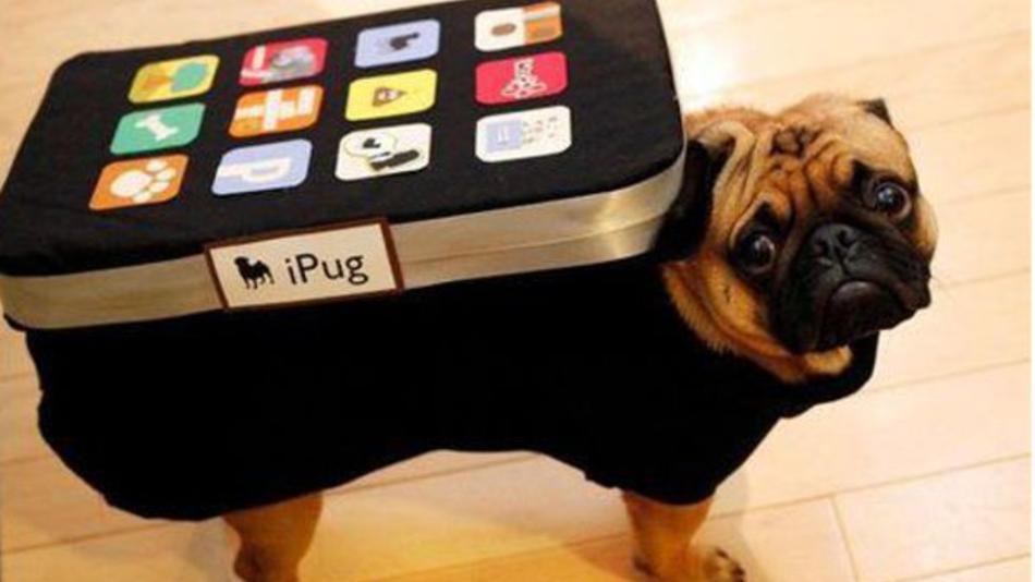 Crazy Funny Iphone Costume For Pet