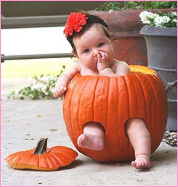 Cute Funny Kid Sitting In Pumpkin