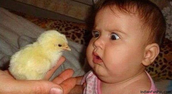 Cute Kid Afraid To See Chicken Funny Image