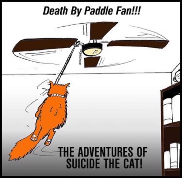 Death By Paddle Fan Funny Cat Suicide