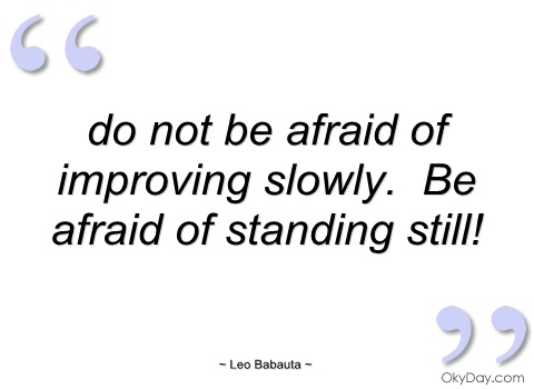 Do not be afraid of improving slowly. Be afraid of standing still. Leo Babauta