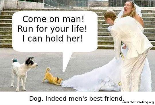 Dog Indeed Men’s Best Friend Funny Marriage