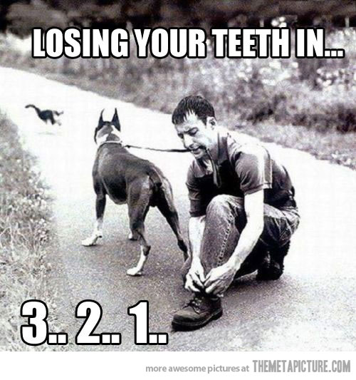 Dog On Leash About To Pull Man's Teeth Out Funny Picture