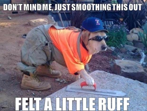 Don't Mind Me, Just Smoothing This Out Funny Dog Working
